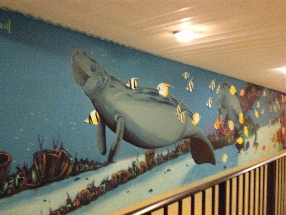 Dolphin Key Resort - קייפ קורל מראה חיצוני תמונה