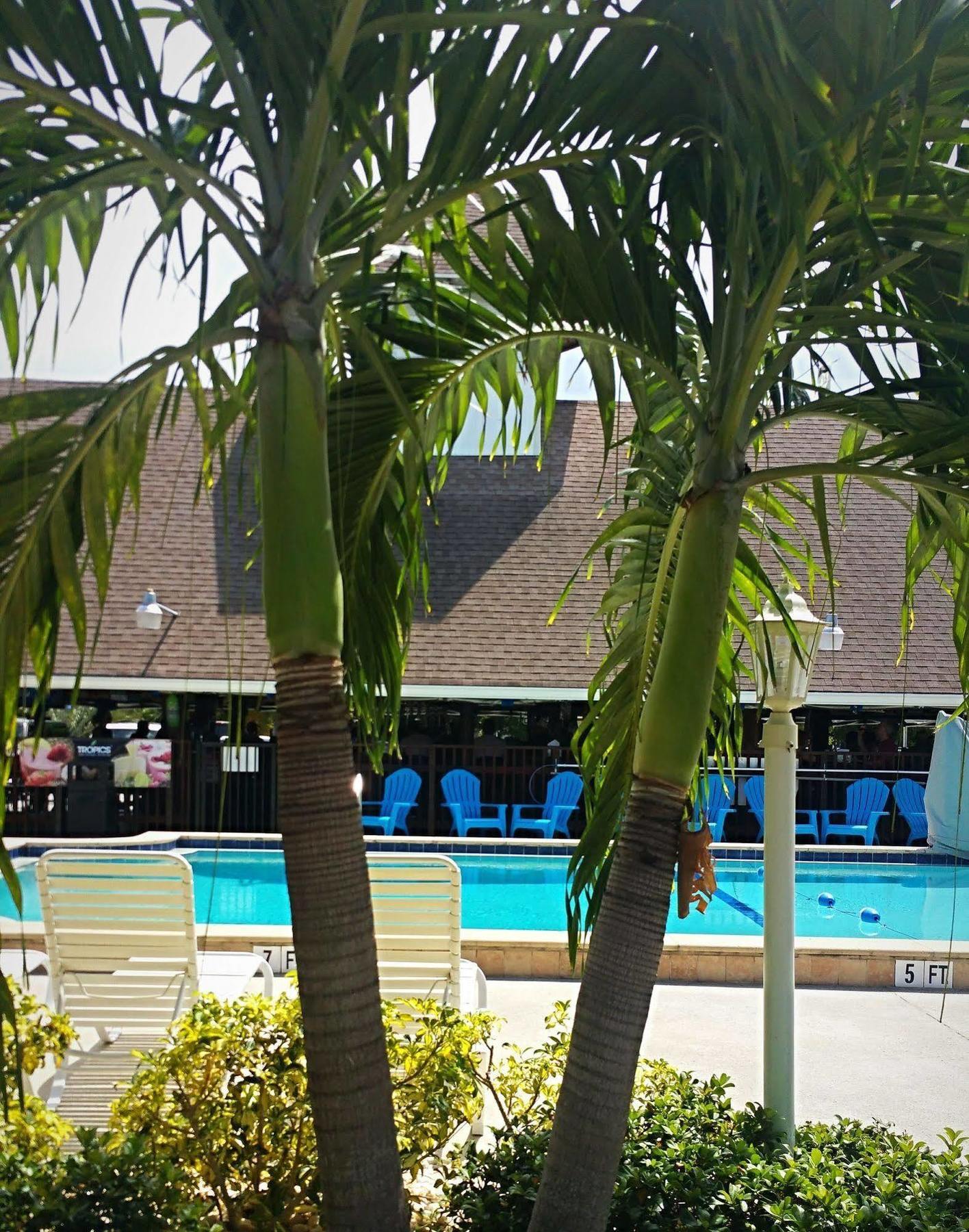 Dolphin Key Resort - קייפ קורל מראה חיצוני תמונה