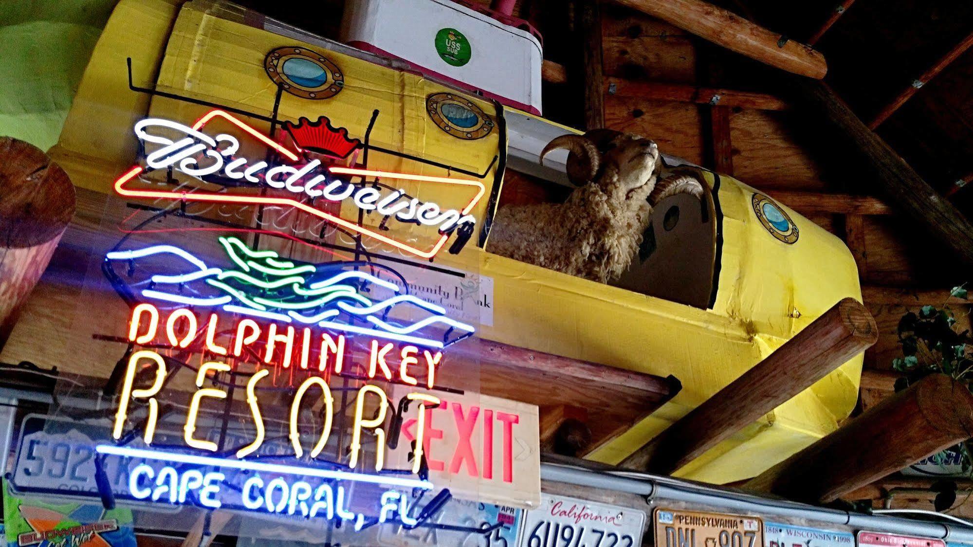 Dolphin Key Resort - קייפ קורל מראה חיצוני תמונה